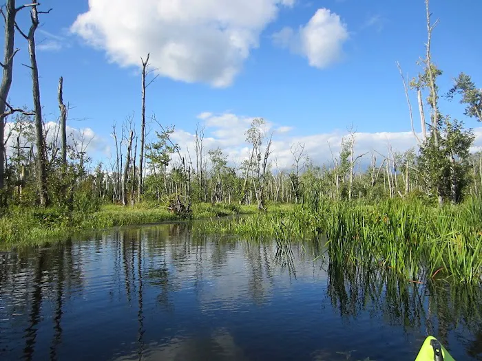 Great Swamp Picture 1