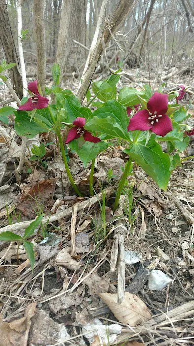 Great Swamp Picture 2