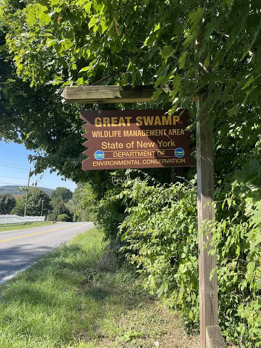 Great Swamp Wildlife Management Area Parking Lot Picture 3