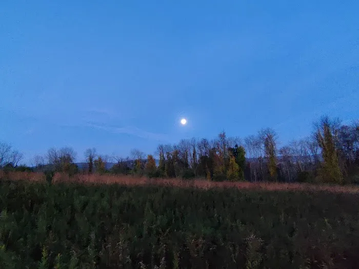 Great Swamp Wildlife Management Area Parking Lot Picture 7