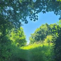 Great Swamp Wildlife Management Area Parking Lot ico