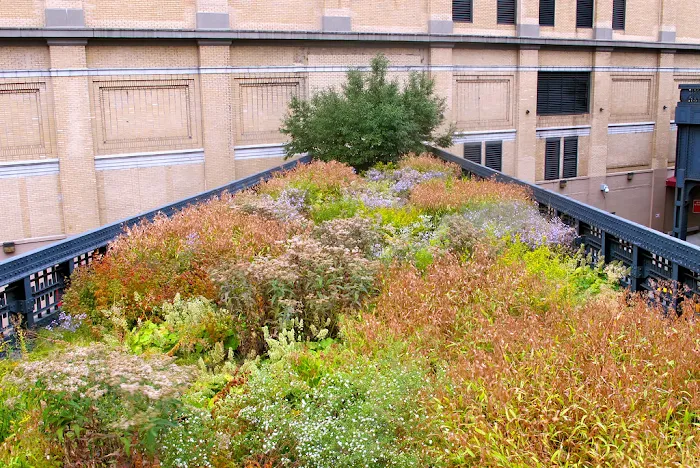 Northern Spur Preserve - the High Line Picture 10