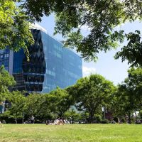 14th Street Park ico