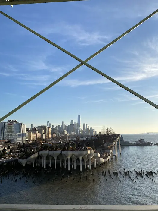 Pier 57 Rooftop Park Picture 5