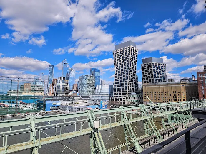 Pier 57 Rooftop Park Picture 9