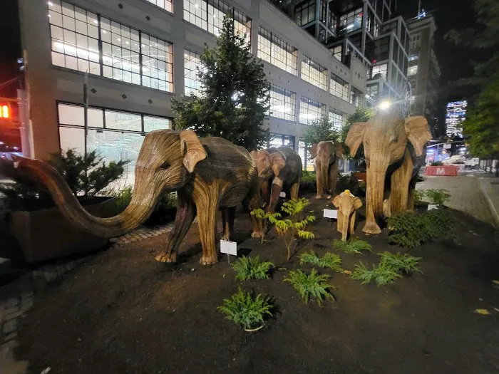 Chelsea Triangle Picture 8