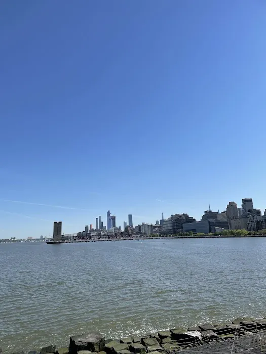 Pier 25 at Hudson River Park Picture 8