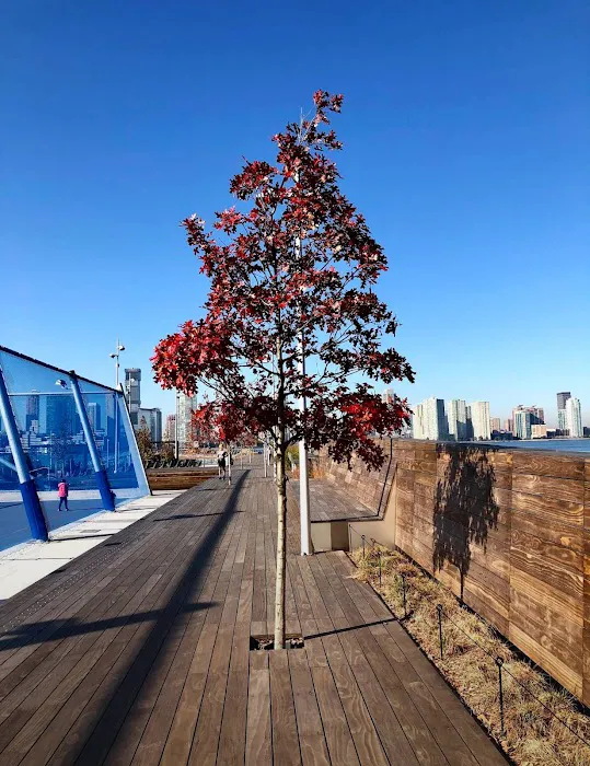 Pier 26 Tide Deck Picture 3