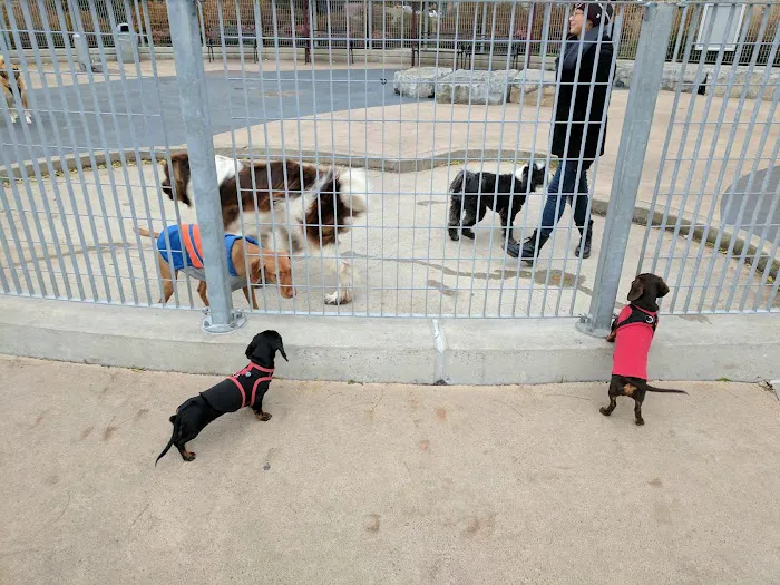Tribeca Dog Run Picture 4