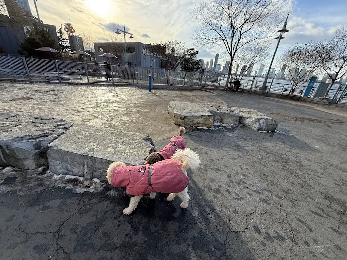 Tribeca Dog Run Picture 1