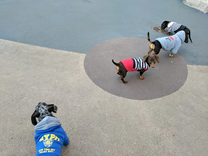 Tribeca Dog Run Picture 6