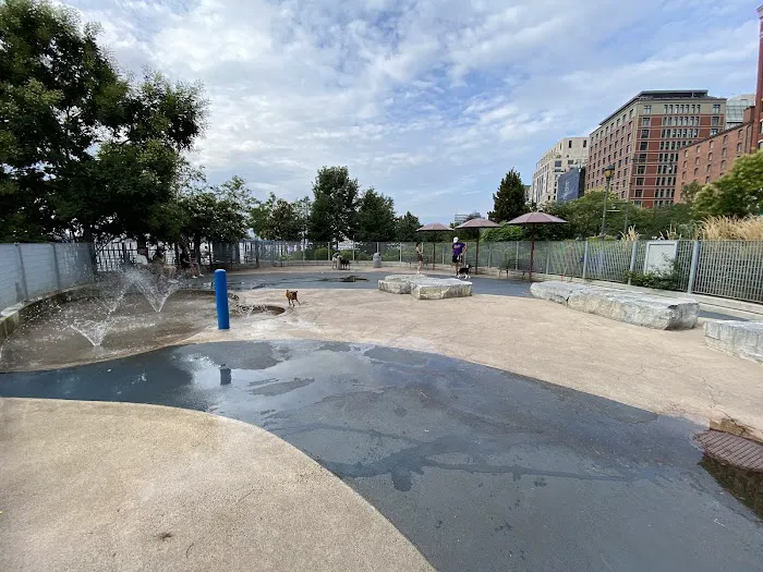Tribeca Dog Run Picture 7