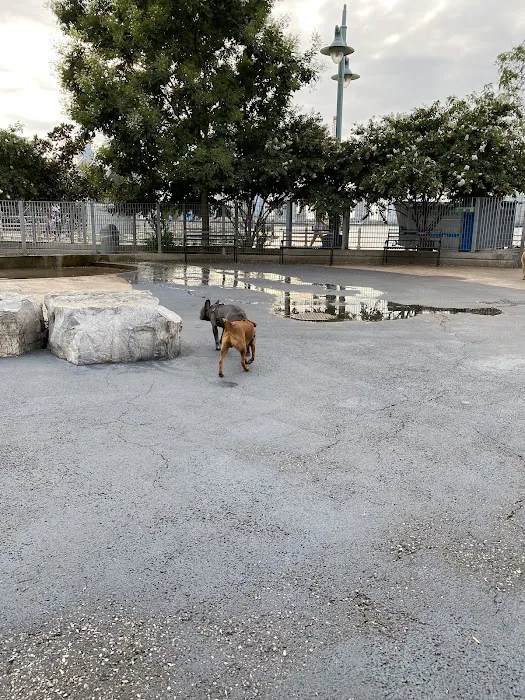 Tribeca Dog Run Picture 9