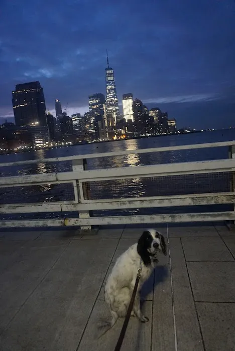Pier 34 at Hudson River Park Picture 8