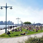 Hudson River Park Friends