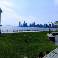 Hudson River Park Trust ico