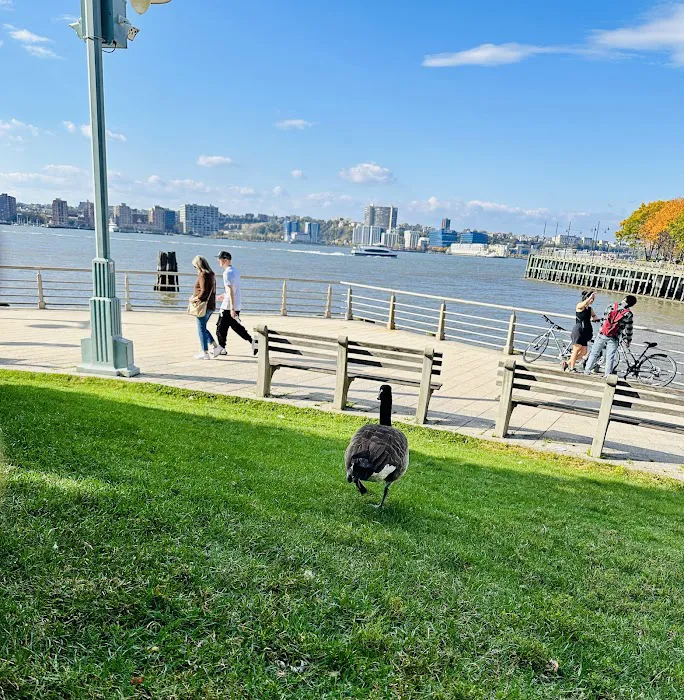 Hudson River Park Picture 3