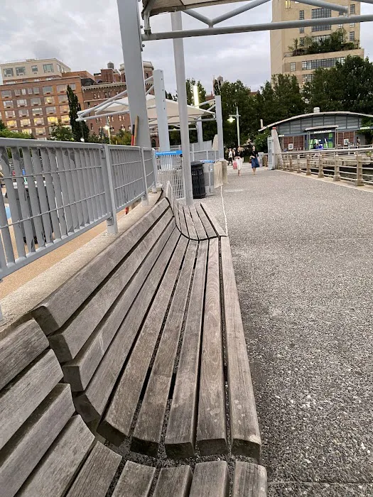 Pier 51 at Hudson River Park Picture 7