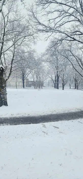 Wilson Park Picture 3