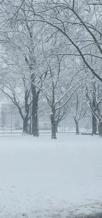 Wilson Park Picture 1
