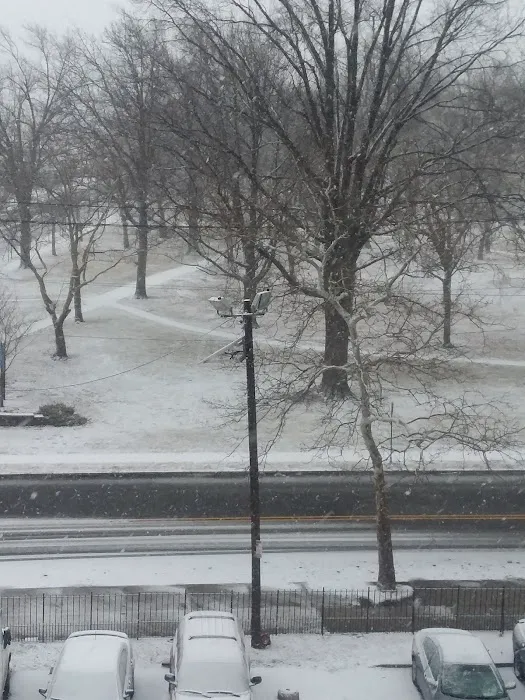 Wilson Park Picture 7