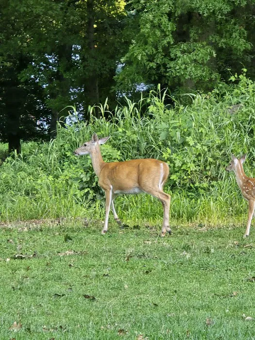 Conant Park Picture 7