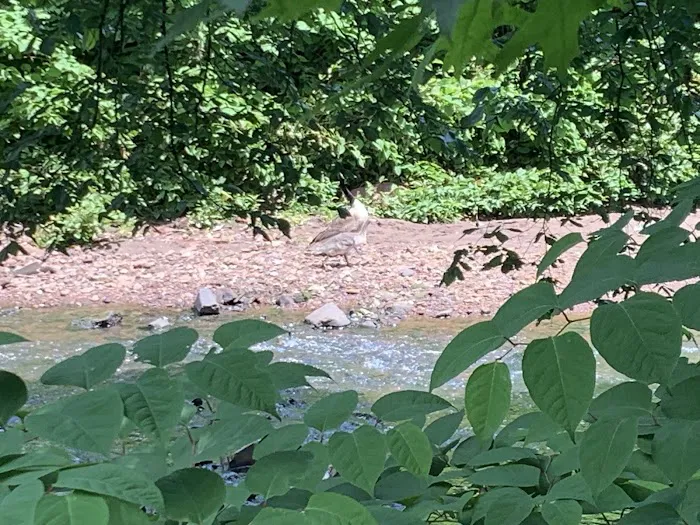 Zimmerman Park Picture 6