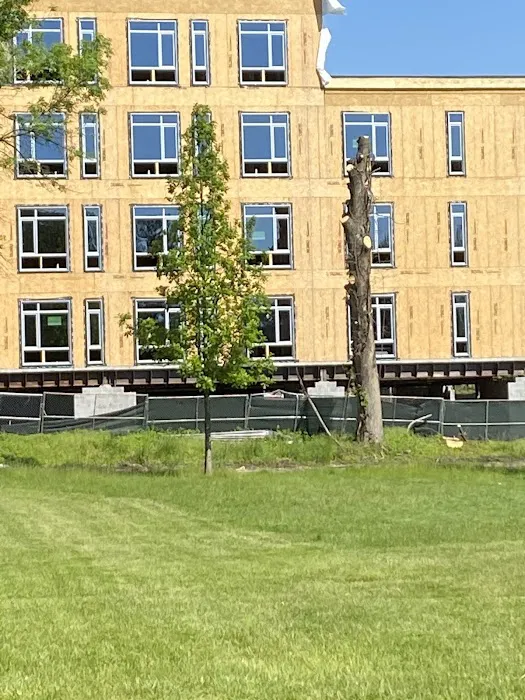 Zimmerman Park Picture 9