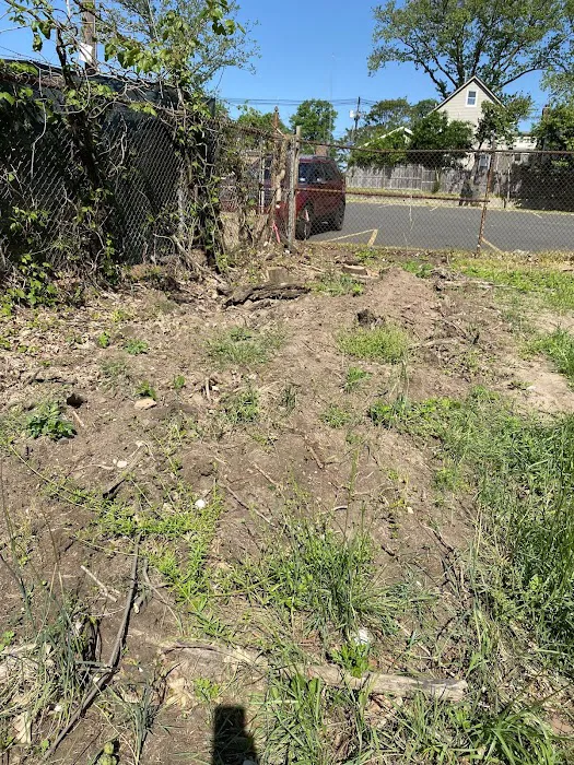 Zimmerman Park Picture 10