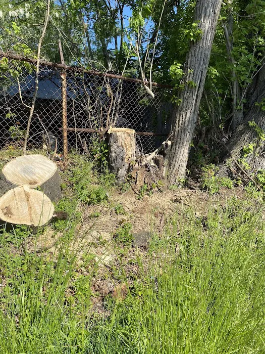 Zimmerman Park Picture 2