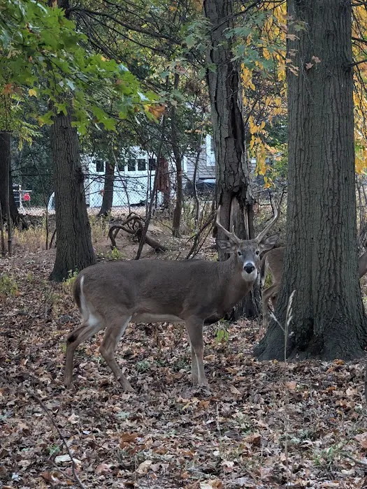 Elizabeth River Park Picture 1