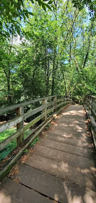 Elizabeth River Park Picture 6