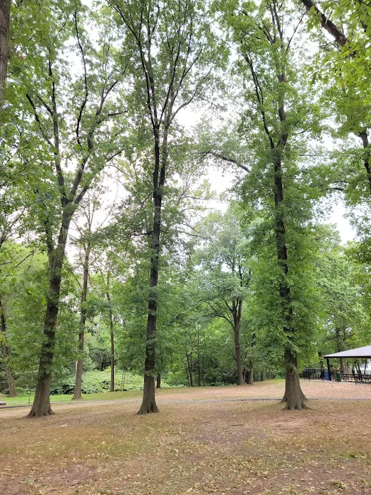 Elizabeth River Park Picture 10