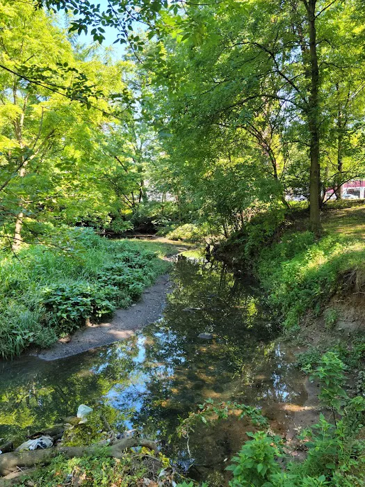 Elizabeth River Park Picture 2