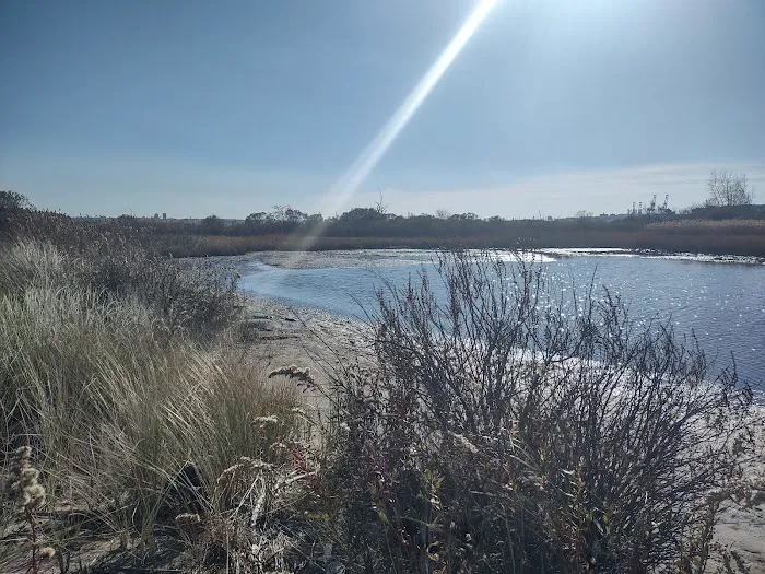 Caven Point Beach Boardwalk Access Picture 6
