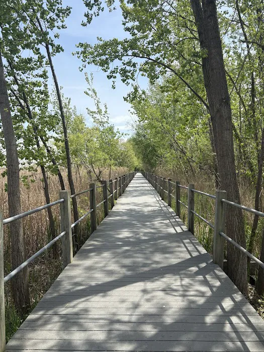 Caven Point Beach Boardwalk Access Picture 5