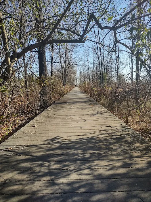 Caven Point Beach Boardwalk Access Picture 4