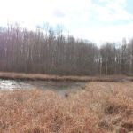 Jansen Pond