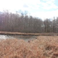 Jansen Pond ico