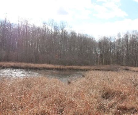 Jansen Pond
