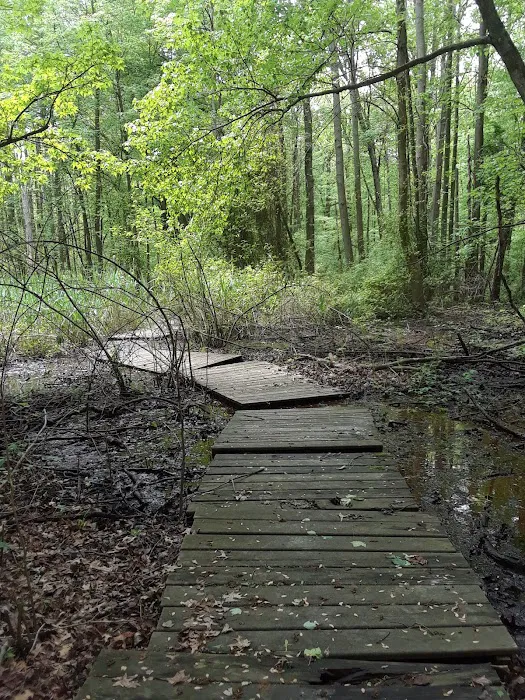 Jansen Pond Picture 4