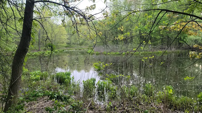 Blue Heron Pond Picture 2