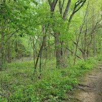Blue Heron Pond ico