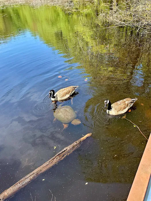 Blue Heron Park Picture 3