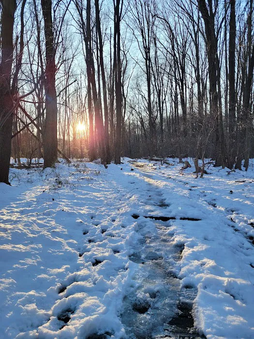 Blue Heron Park Picture 1