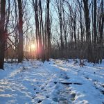 Blue Heron Park