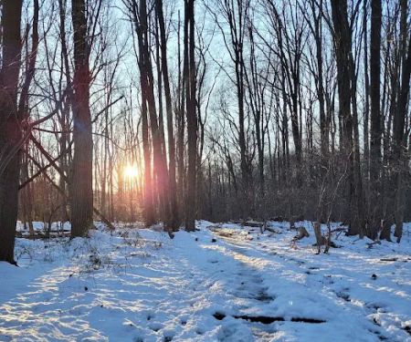 Blue Heron Park