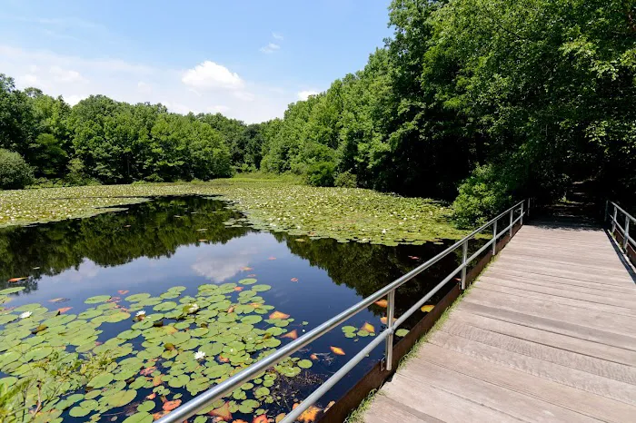 Blue Heron Park Picture 10