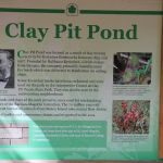 Clay Pit Pond