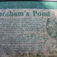 Abraham's Pond ico